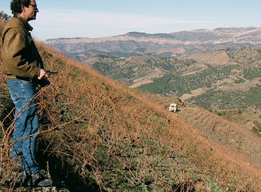 Celler de l'Encastell