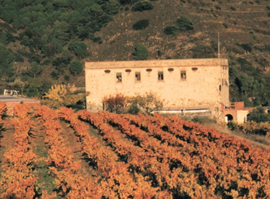 Celler Mas Garrian, SL