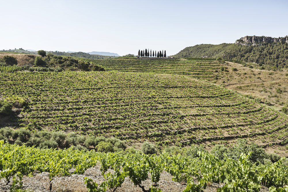 Costers del Priorat