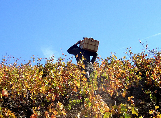 Domaines Magrez Espagne