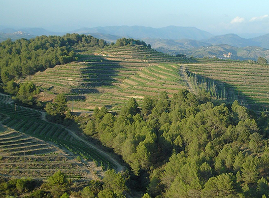 Clos Galena