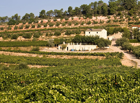 Viticultors del Priorat