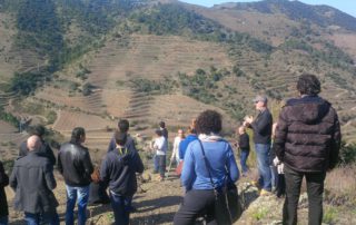 Image of the visit to a vineyard in Porrera